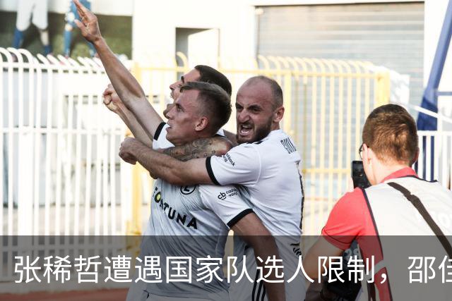 张稀哲遭遇国家队选人限制，邵佳一重塑国足新风格